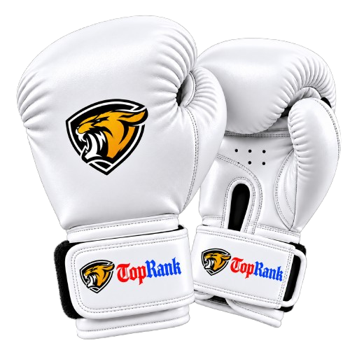 Boxing Gloves