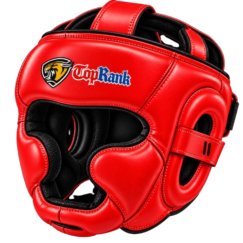 Head Guard